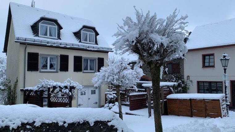 Ein schneebedecktes Wohngebiet mit zwei Häusern. Bäume und Sträucher sind ebenfalls mit Schnee bedeckt.