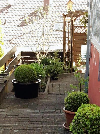 Ein gepflegter Gartenweg mit bepflanzten Töpfen und einer Pergola im Hintergrund. Gemütliche Atmosphäre mit Sonnenschein und grünem Pflanzenwuchs.