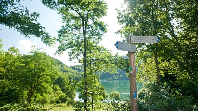 Wegweiser am Gemündener Maar in der Eifel, umgeben von Bäumen und einem See im Hintergrund.