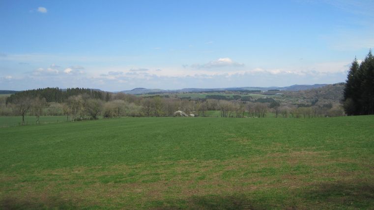 <p>Blick auf eine grüne Wiese und Hügel mit blauem Himmel</p>