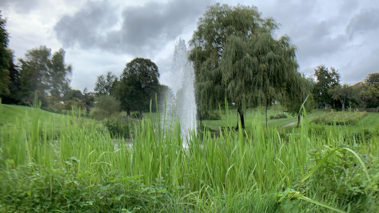 Ein schöner Park mit einer Wasserfontäne in einem Teich. Umgeben von hohen Gräsern und Bäumen unter einem bewölkten Himmel.