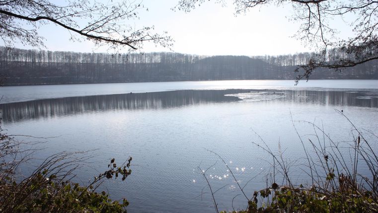 Ein ruhiger See unter einem klaren Himmel. Bäume umrahmen die Szenerie und reflektieren sich im Wasser.