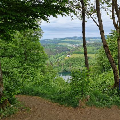 Ein grüner Wald mit Bäumen und einer Aussicht auf eine hügelige Landschaft. Im Vordergrund ist ein Weg, der zum See führt.