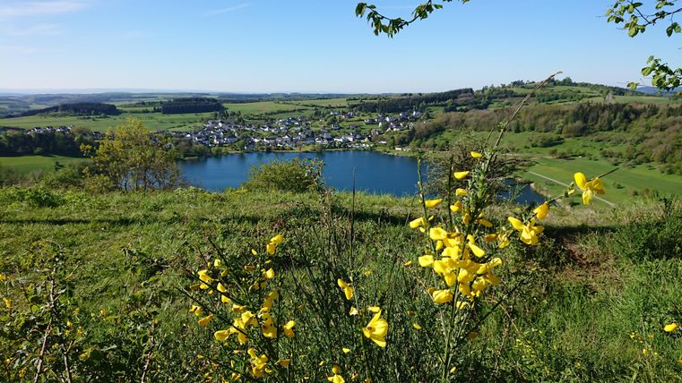 Eine idyllische Landschaft mit einem klaren See und einem kleinen Dorf im Hintergrund. Gelbe Blumen blühen im Vordergrund, während der Himmel blau und klar ist.