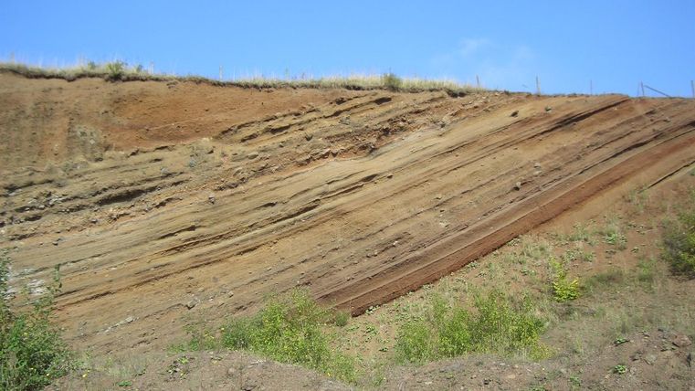 Schichtgestein am Rockeskyller Kopf, leicht geneigt, mit Vegetation am Boden und blauem Himmel im Hintergrund.