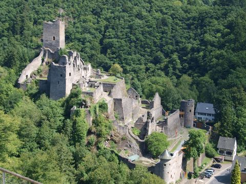 Eine alte Burgruine umgeben von dichten Wäldern. Im Vordergrund sind teilweise erhaltene Mauern und Türme zu sehen.