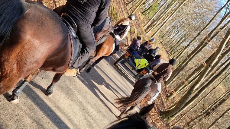 Eine Gruppe von Reitern auf einem Pfad im Wald. Die Umgebung ist ruhig, mit Bäumen und Erde bedeckt.