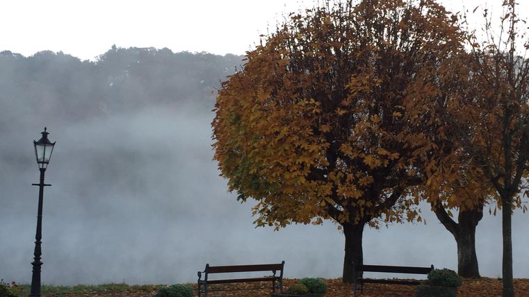 Ein herbstlicher Park mit bunten Bäumen und einer gemütlichen Bank. Im Hintergrund ist dichter Nebel über dem Wasser zu sehen.