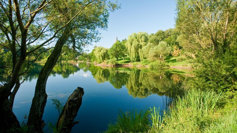 Ein ruhiger Fluss mit spiegelndem Wasser und üppigen Bäumen am Ufer. Die Landschaft wirkt friedlich und einladend.