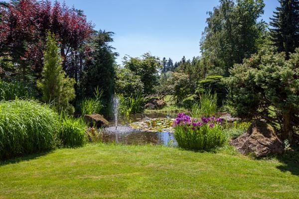 Ein ruhiger Garten mit einem Teich und bunten Blumen. Üppiges Grün umgibt den Wasserfall im Hintergrund.