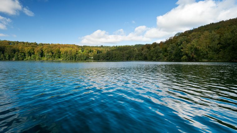 Ein ruhiger See mit klarem Wasser und sanften Wellen. Am Ufer sind Bäume in Herbstfarben zu sehen.