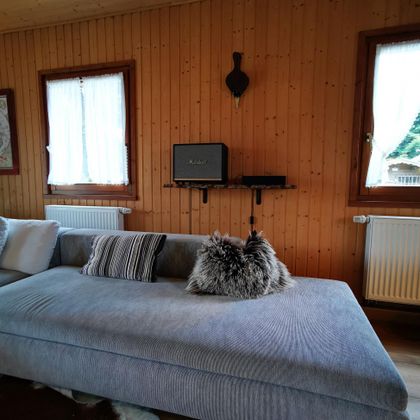 Ein gemütliches Wohnzimmer mit einer grauen Couch und dekorativen Kissen. Helle Fenster und eine Holzwand schaffen eine warme Atmosphäre.
