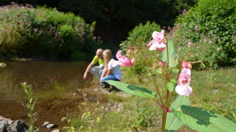 Ein schöner Fluss mit grünen Uferpflanzen. Im Hintergrund sind zwei Personen zu sehen, die am Wasser sitzen.