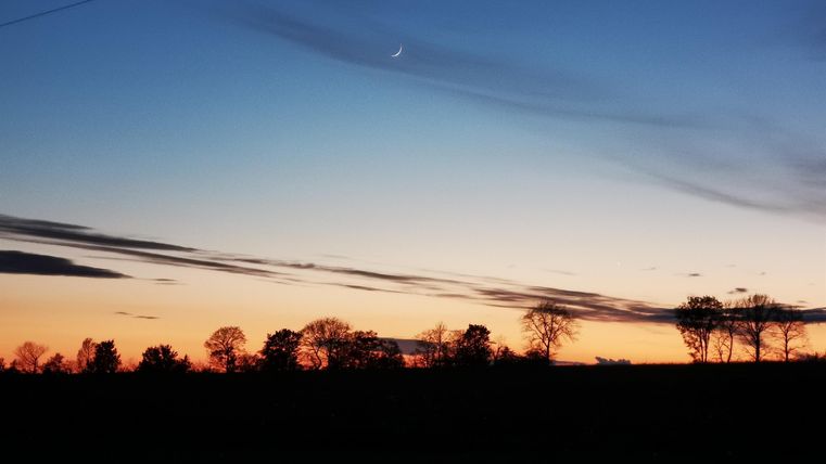 Ein schöner Sonnenuntergang mit orangefarbenem Himmel und dunklen Silhouetten von Bäumen. Die Wolken sind sanft verteilt und die Stimmung ist friedlich.