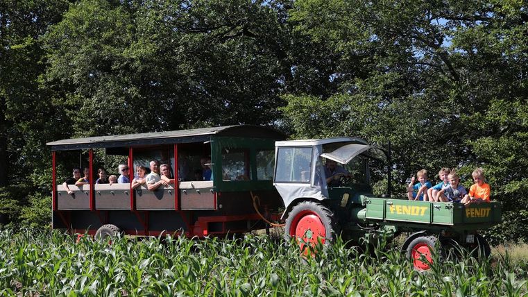 Ein Traktor zieht einen Wagen mit Passagieren durch ein Feld. Die Umgebung ist grün und von Bäumen umgeben.