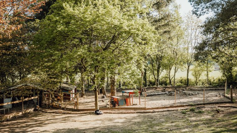 Ein kleiner Bauernhof mit Bäumen und einem eingezäunten Bereich für Tiere. Im Hintergrund sind ein Stall und ein Spielplatz zu sehen.
