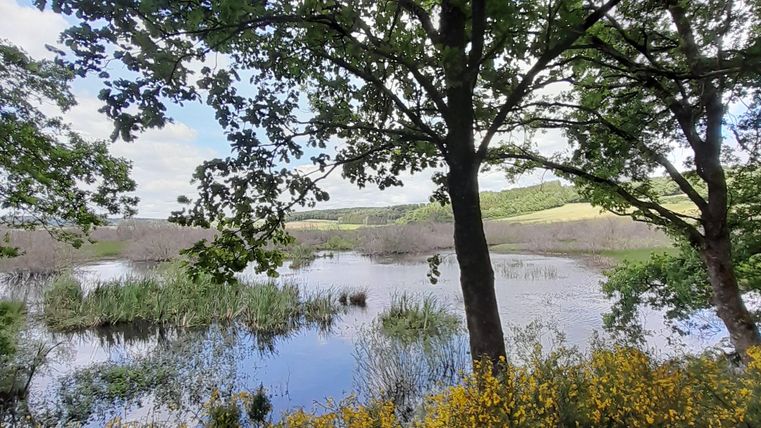 Ein ruhiger See umgeben von Bäumen und bunten Blumen. Der Himmel ist klar und die Natur ist friedlich.