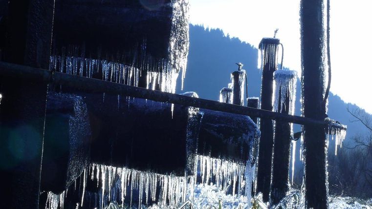 Eiszapfen hängen von Holzstäben in einer winterlichen Landschaft. Die Sonne scheint und erzeugt eine glitzernde Atmosphäre.
