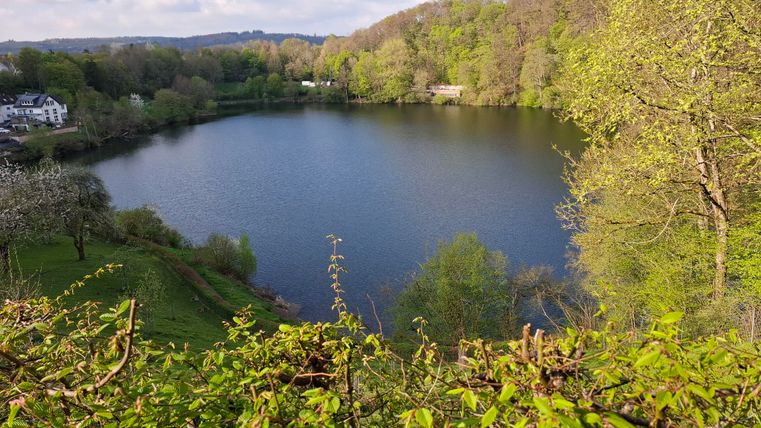 Ein ruhiger See umgeben von Bäumen und sanften Hügeln. Die Natur ist grün und einladend.
