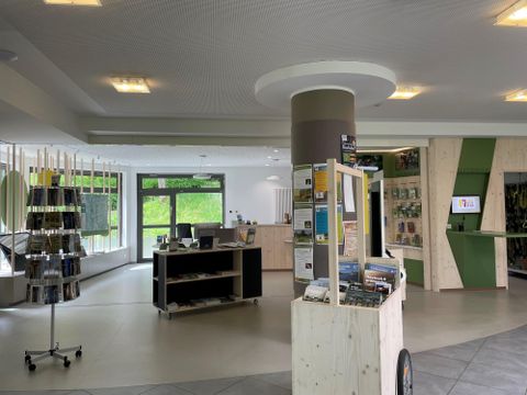 Ein moderner Empfangsbereich mit einem Empfangstresen und Informationsständen. Große Fenster lassen viel Licht herein und bieten einen Blick nach draußen.