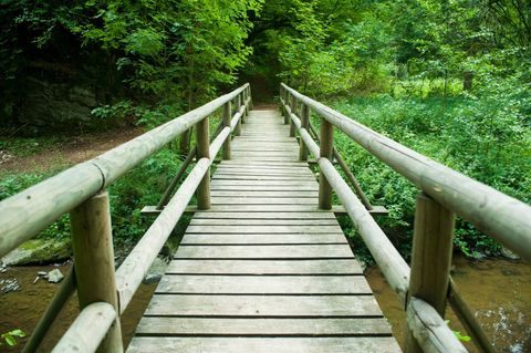 Holzbrücke über einen kleinen Bach im Wald.