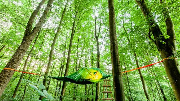 Baumzelt im Wald