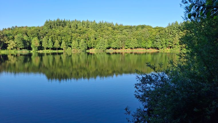 A tranquil lake surrounded by green trees and a clear sky. The water reflects the landscape.