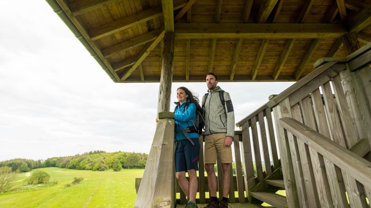 Two people stand on a wooden lookout tower and gaze into the distance over a green landscape.