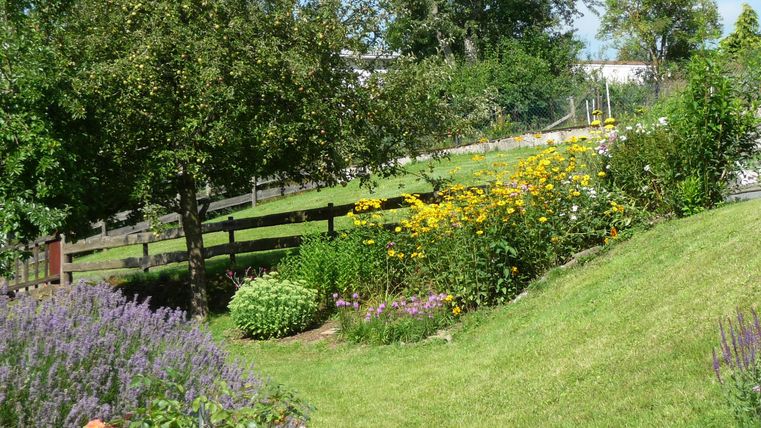 Ein schöner Garten mit bunten Blumen und üppigem Gras. Im Hintergrund stehen Bäume und ein Zaun.