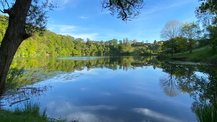 Ein ruhiger See umgeben von üppigem Grün und Bäumen. Der Himmel ist blau und spiegelt sich im Wasser.