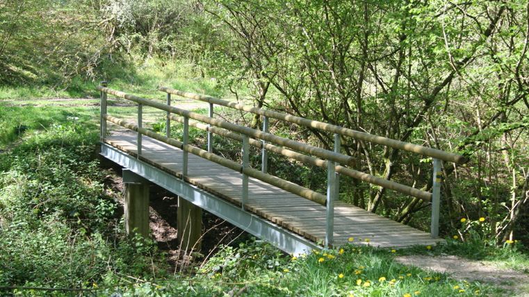 Een kleine houten brug steekt een beekje over in een groen bebost gebied.