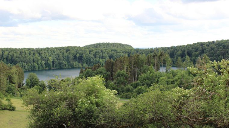 Eine ruhige Landschaft mit einem See, umgeben von Wäldern. Der Himmel ist bewölkt und die Vegetation ist üppig grün.