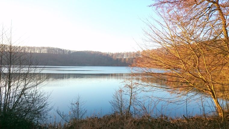 Ein ruhiger See umgeben von Bäumen im Herbst. Das Wasser spiegelt die Landschaft und den klaren Himmel wider.