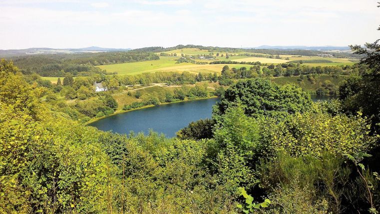 Eine malerische Aussicht auf einen ruhigen See, umgeben von grünen Bäumen und sanften Hügeln. Der Himmel ist klar und die Landschaft wirkt friedlich.