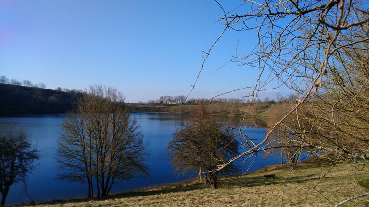 Ein ruhiger See umgeben von Bäumen und einem klaren blauen Himmel. Die Landschaft strahlt friedliche Natur aus.