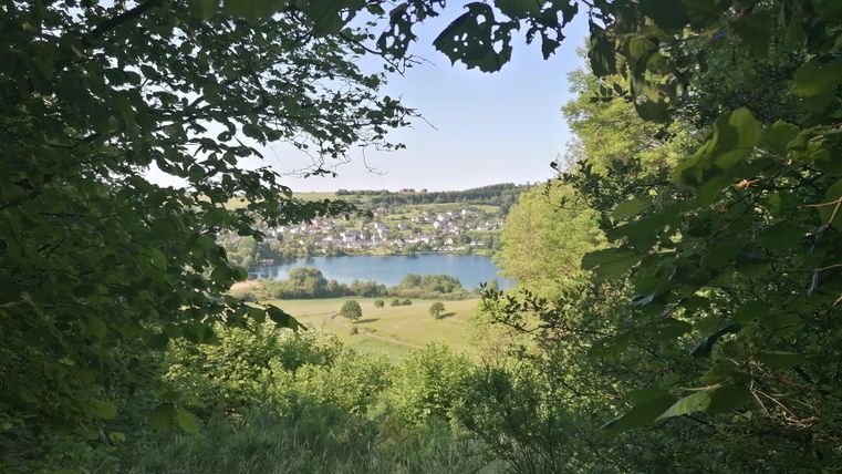 Ein schöner Blick auf einen See, umgeben von Bäumen und weiten Wiesen. Im Hintergrund sind Häuser und sanfte Hügel zu erkennen.