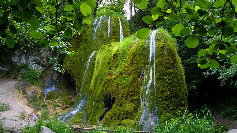 Ein moosbedeckter Wasserfall im Grünen, umgeben von Bäumen und Pflanzen.