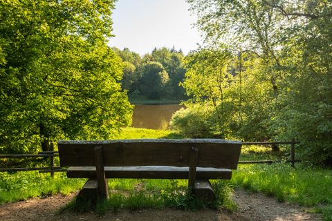 Eine Holzbank unter den Bäumen mit Blick auf einen ruhigen See. Die Szenerie ist grün und sonnig, ideal zum Entspannen in der Natur.