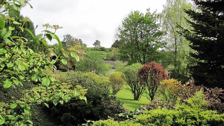 Ein schöner Garten mit vielen verschiedenen Bäumen und Sträuchern. Im Hintergrund ist eine grüne Wiese zu sehen.