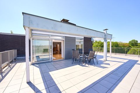 A spacious rooftop terrace with a dining table and chairs. In the background, a green landscape can be seen and the sky is clear and blue.