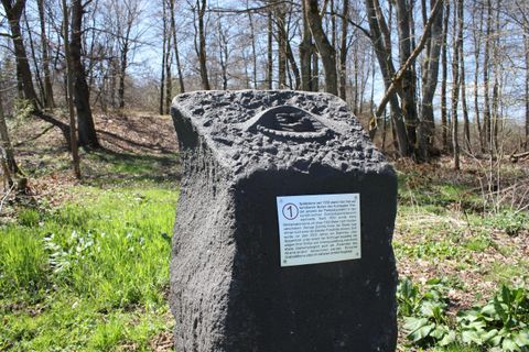 Ein schwarzer Felsen im Wald mit einer eingravierten Eye-Symbolik. Daneben befindet sich ein Informationsschild.