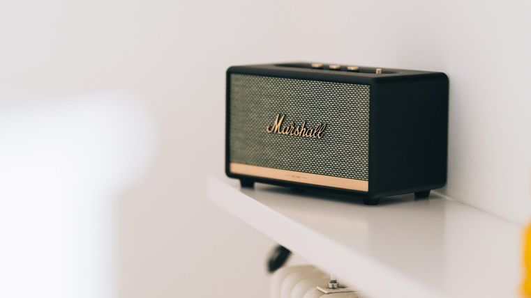 Ein schwarzer Lautsprecher mit goldenen Akzenten steht auf einem Regal. Er hat eine klassische Designästhetik und ist bereit für Musikgenuss.