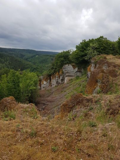 Eine malerische Landschaft mit Felsen und Bäumen. Der Himmel ist bewölkt und zeigt einen grünen Wald im Hintergrund.