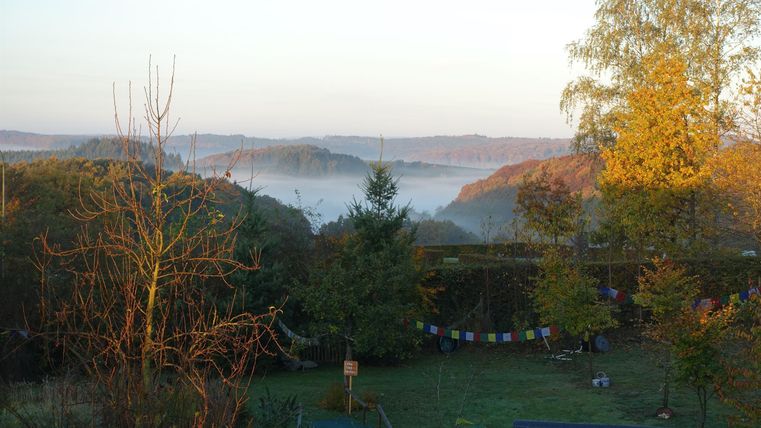Eine ruhige Landschaft mit sanften Hügeln und Morgennebel. Die Bäume sind im sanften Licht der aufgehenden Sonne beleuchtet.