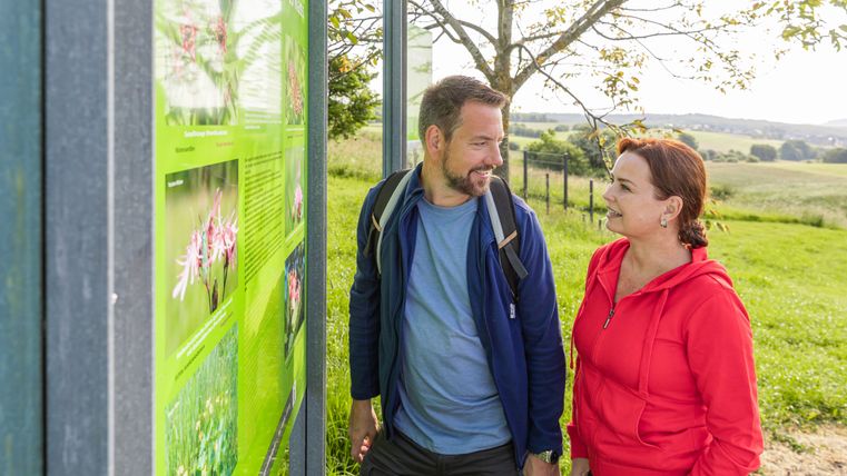 Zwei Personen betrachten eine grüne Infotafel im Freien.