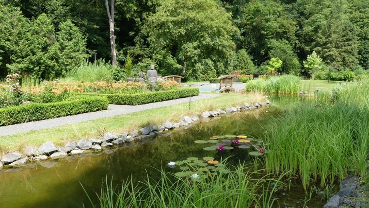 Ein ruhiger Garten mit einem Teich und grünen Pflanzen. Umgeben von Bäumen und gepflegten Rasenflächen.