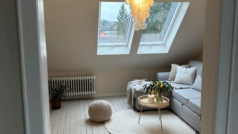 Ein heller, moderner Wohnraum mit Fenstern im Dachbereich. Der Raum ist mit einem gemütlichen Sofa, einem Tisch und dekorativen Pflanzen eingerichtet.