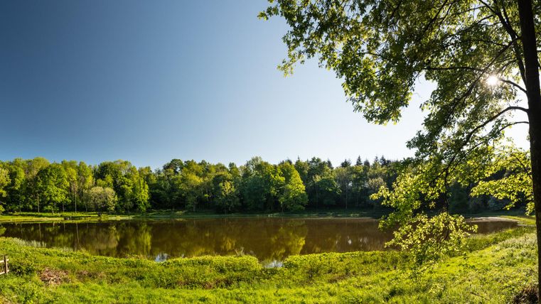 Ein ruhiger See umgeben von grünen Wäldern und Sonne. Die Natur reflektiert sich im klaren Wasser.
