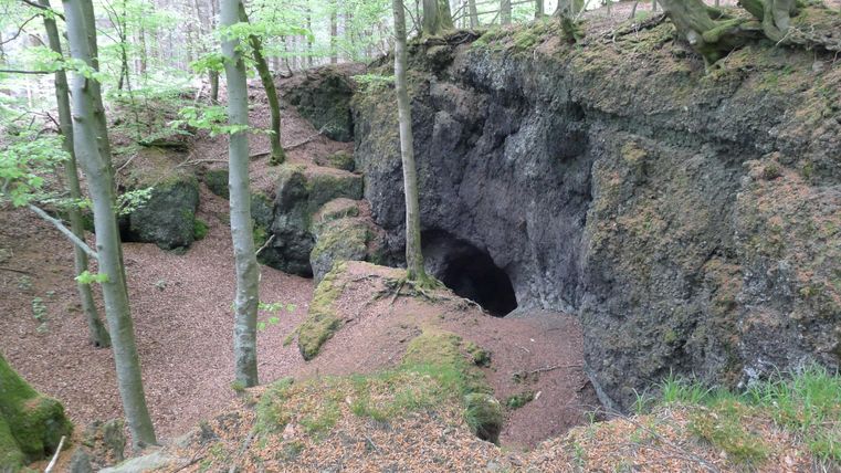 Eine felsige Erhebung mit einer Höhle, umgeben von Bäumen. Der Boden ist mit Laub bedeckt und der Wald wirkt ruhig und unberührt.
