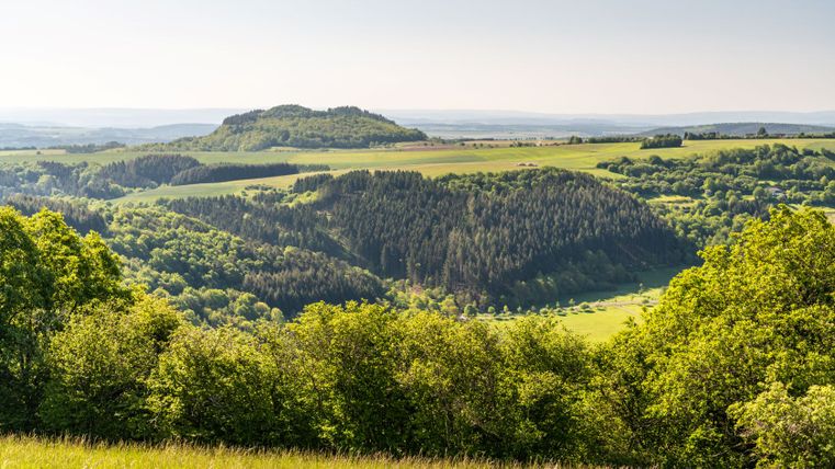 Panoramablick auf eine grüne Hügellandschaft mit Wäldern und Feldern unter klarem Himmel.